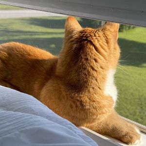 Meet your Posher, Julia